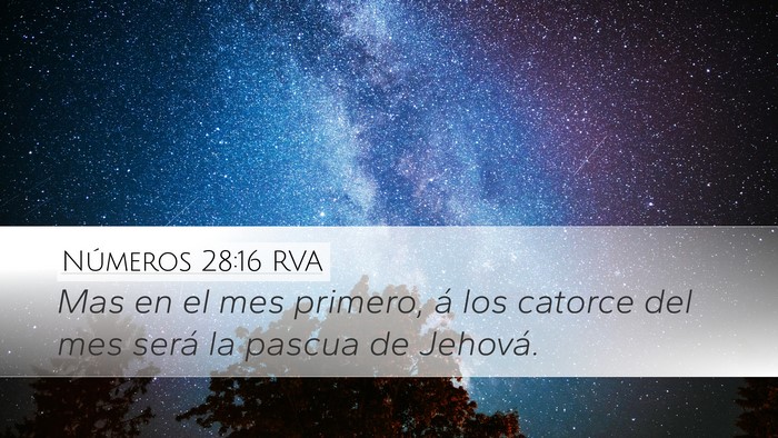 Números 28:16 RVA Bible Verse Image