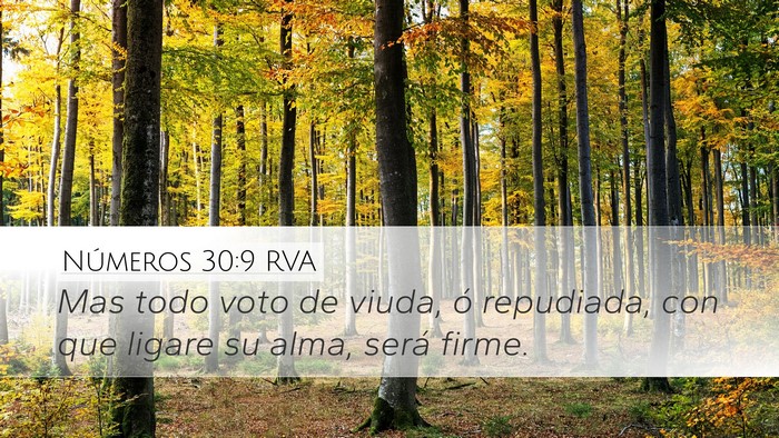 Números 30:9 RVA Desktop Wallpaper - Mas todo voto de viuda, ó repudiada, con que - Desktop Bible Verse Wallpaper