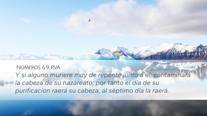 Números 6:9 RVA Bible Verse Image