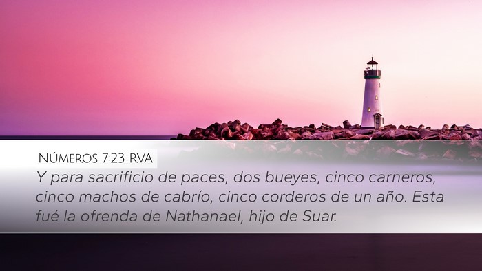 Números 7:23 RVA Bible Verse Image