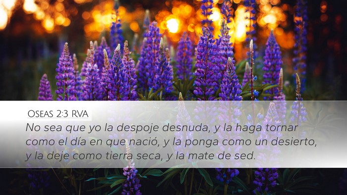 Oseas 2:3 RVA Bible Verse Image