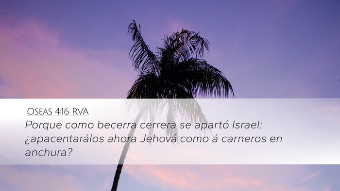 Oseas 4:16 RVA Bible Verse Image
