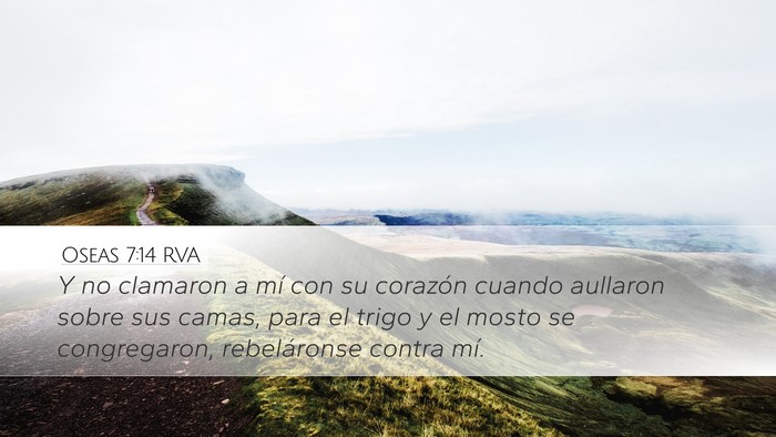Oseas 7:14 RVA Bible Verse Image