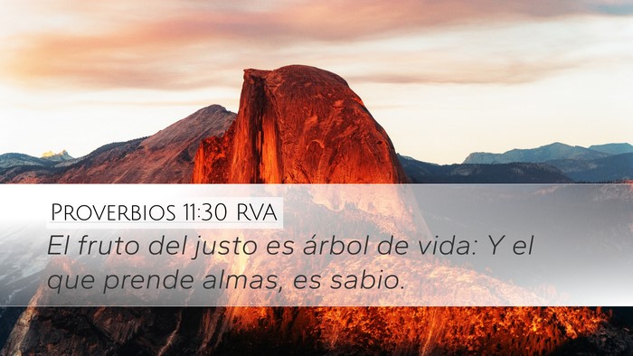 Proverbios 11:30 RVA Bible Verse Image