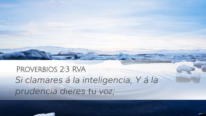 Proverbios 2:3 RVA Bible Verse Image