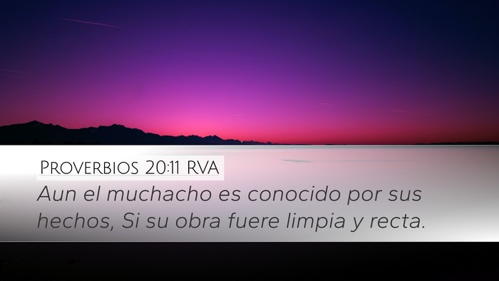 Proverbios 20:11 RVA Bible Verse Image