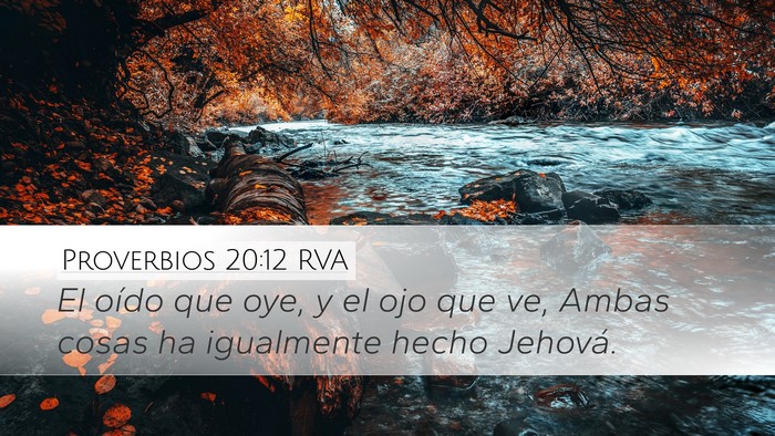 Proverbios 20:12 RVA Bible Verse Image
