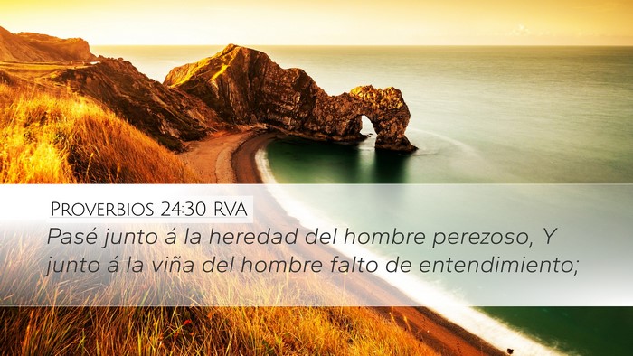 Proverbios 24:30 RVA Bible Verse Image