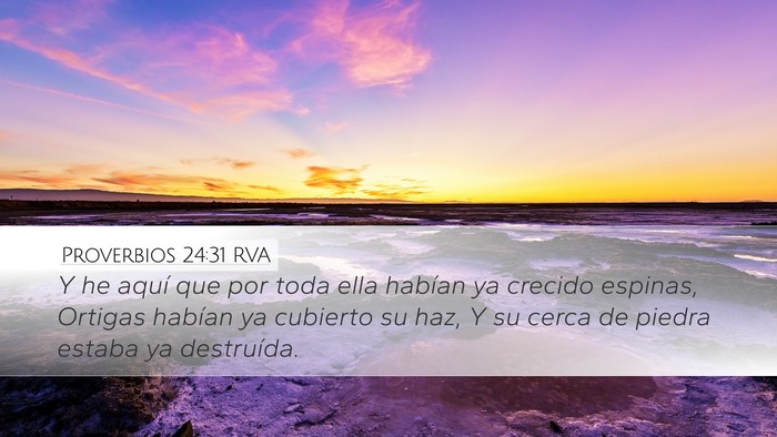 Proverbios 24:31 RVA Desktop Wallpaper - Y he aquí que por toda ella habían ya crecido - Desktop Bible Verse Wallpaper
