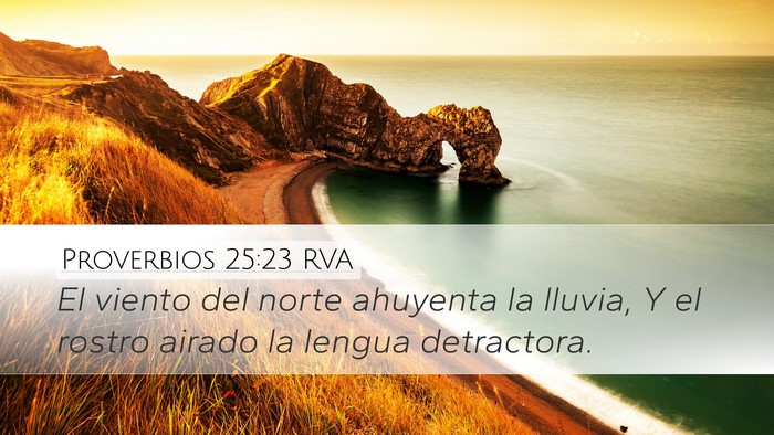 Proverbios 25:23 RVA Bible Verse Image