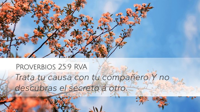 Proverbios 25:9 RVA Bible Verse Image
