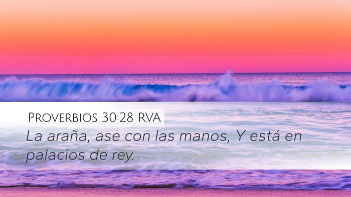 Proverbios 30:28 RVA Desktop Wallpaper - La araña, ase con las manos, Y está en palacios - Desktop Bible Verse Wallpaper