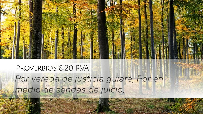 Proverbios 8:20 RVA Bible Verse Image