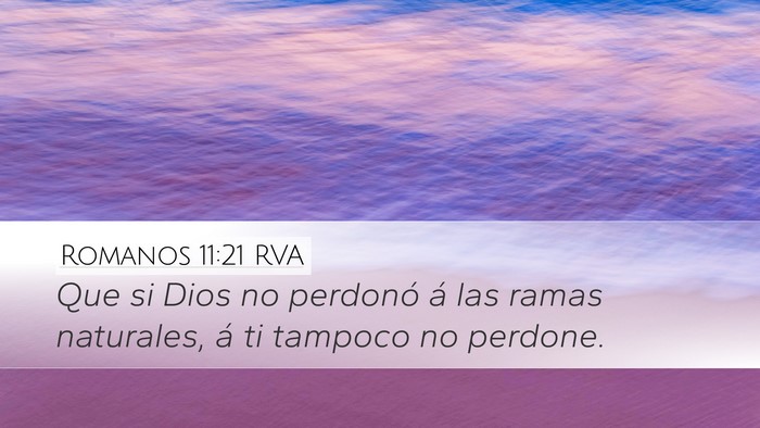 Romanos 11:21 RVA Desktop Wallpaper - Que si Dios no perdonó á las ramas naturales, - Desktop Bible Verse Wallpaper
