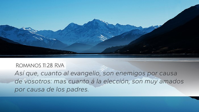 Romanos 11:28 RVA Bible Verse Image