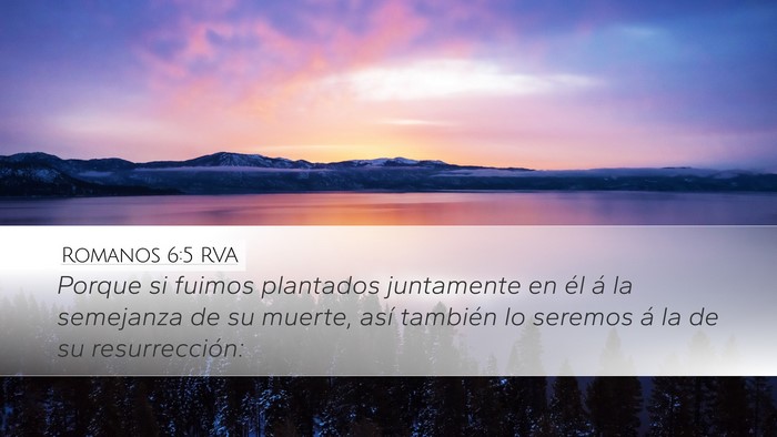Romanos 6:5 RVA Bible Verse Image