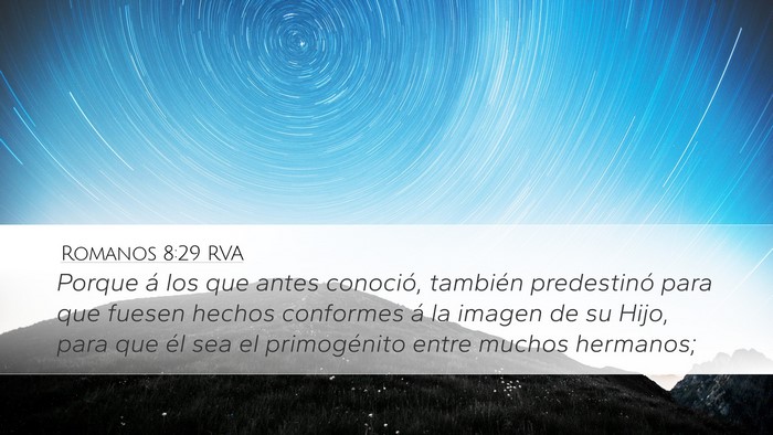 Romanos 8:29 RVA Bible Verse Image