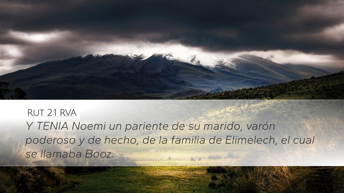 Rut 2:1 RVA Desktop Wallpaper - Y TENIA Noemi un pariente de su marido, varón - Desktop Bible Verse Wallpaper