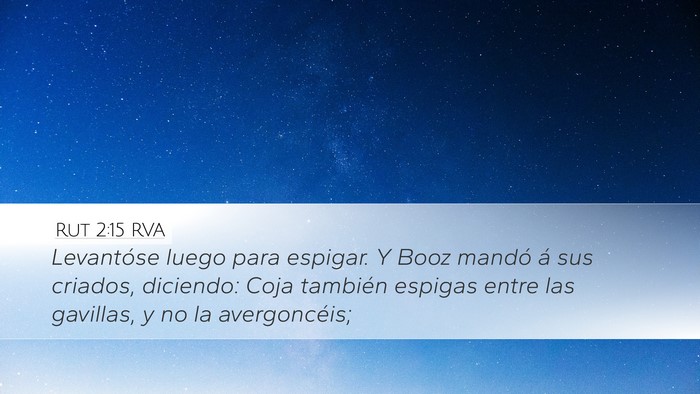 Rut 2:15 RVA Desktop Wallpaper - Levantóse luego para espigar. Y Booz mandó á - Desktop Bible Verse Wallpaper