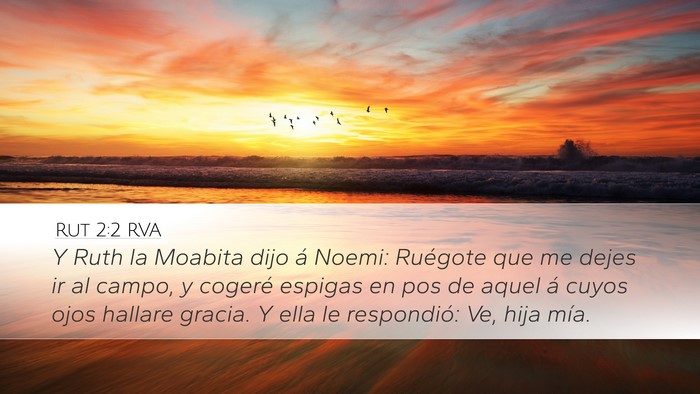 Rut 2:2 RVA Bible Verse Image