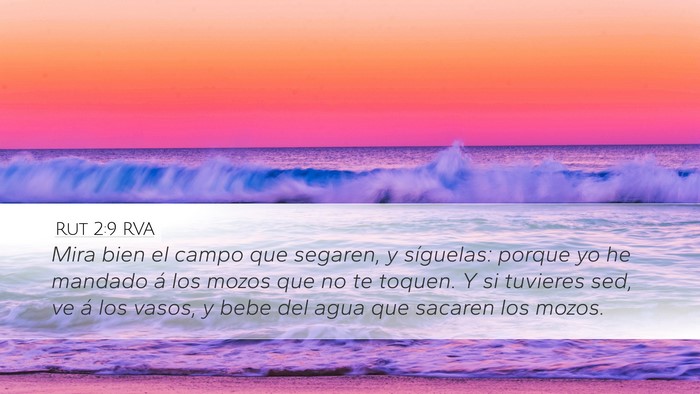 Rut 2:9 RVA Desktop Wallpaper - Mira bien el campo que segaren, y síguelas: - Desktop Bible Verse Wallpaper