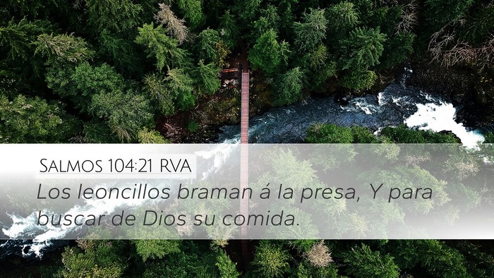 Salmos 104:21 RVA Desktop Wallpaper - Los leoncillos braman á la presa, Y para buscar - Desktop Bible Verse Wallpaper