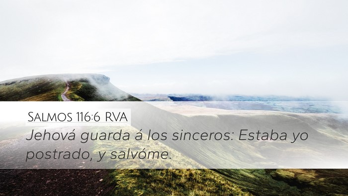 Salmos 116:6 RVA Bible Verse Image