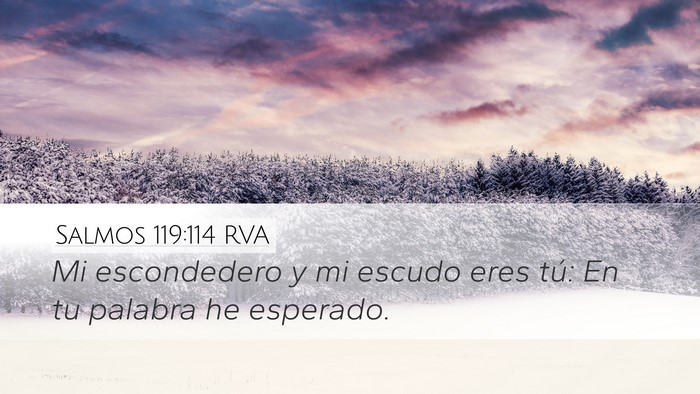 Salmos 119:114 RVA Bible Verse Image