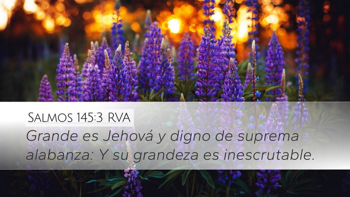 Salmos 145:3 RVA Bible Verse Image