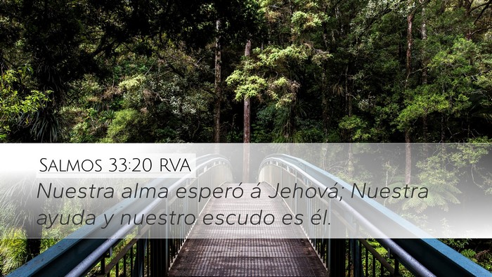 Salmos 33:20 RVA Bible Verse Image