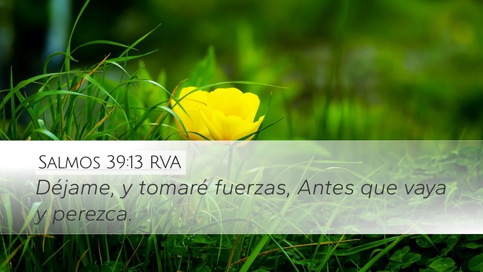 Salmos 39:13 RVA Desktop Wallpaper - Déjame, y tomaré fuerzas, Antes que vaya y - Desktop Bible Verse Wallpaper