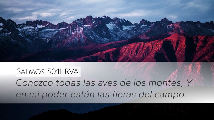 Salmos 50:11 RVA Desktop Wallpaper - Conozco todas las aves de los montes, Y en mi - Desktop Bible Verse Wallpaper