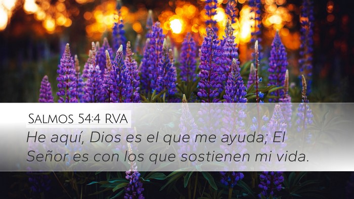 Salmos 54:4 RVA Bible Verse Image
