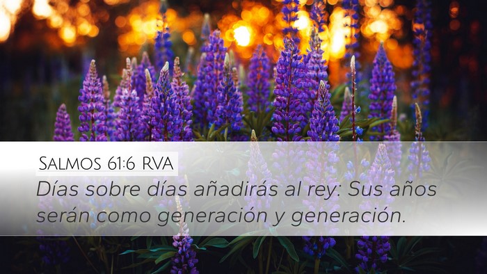 Salmos 61:6 RVA Desktop Wallpaper - Días sobre días añadirás al rey: Sus años - Desktop Bible Verse Wallpaper