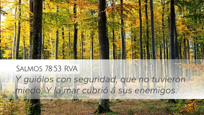 Salmos 78:53 RVA Bible Verse Image