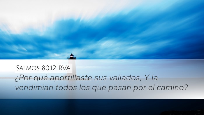 Salmos 80:12 RVA Desktop Wallpaper - ¿Por qué aportillaste sus vallados, Y la - Desktop Bible Verse Wallpaper
