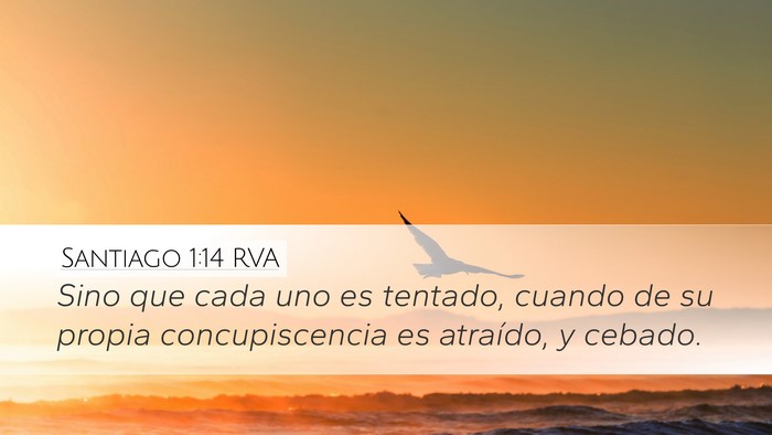 Santiago 1:14 RVA Bible Verse Image