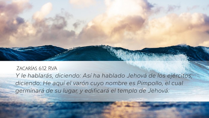 Zacarías 6:12 RVA Bible Verse Image