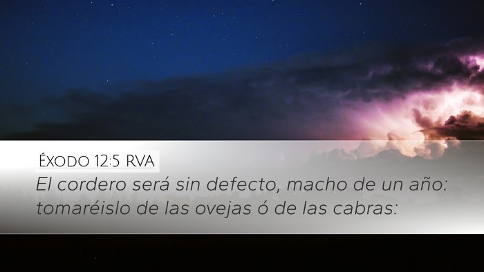Éxodo 12:5 RVA Bible Verse Image