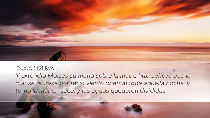 Éxodo 14:21 RVA Bible Verse Image