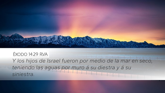 Éxodo 14:29 RVA Bible Verse Image