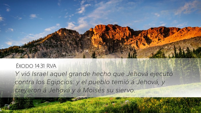Éxodo 14:31 RVA Bible Verse Image