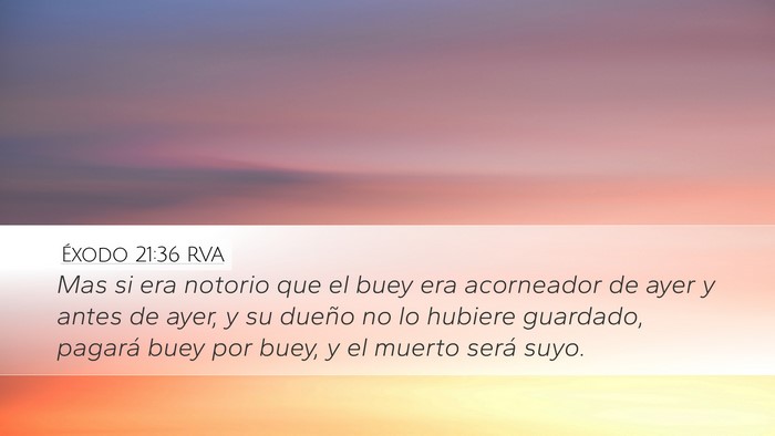 Éxodo 21:36 RVA Desktop Wallpaper - Mas si era notorio que el buey era acorneador de - Desktop Bible Verse Wallpaper