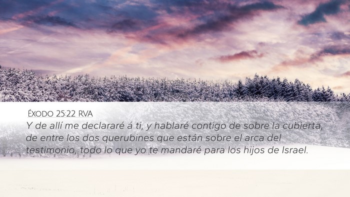 Éxodo 25:22 RVA Bible Verse Image