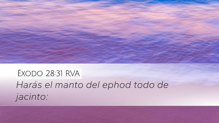 Éxodo 28:31 RVA Bible Verse Image