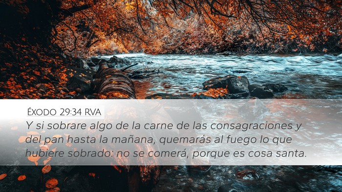 Éxodo 29:34 RVA Bible Verse Image