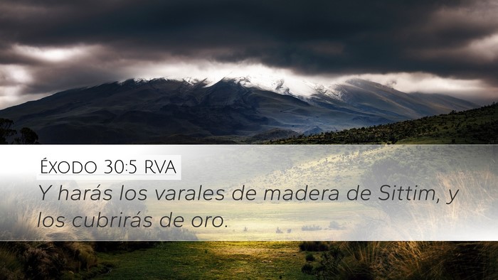 Éxodo 30:5 RVA Desktop Wallpaper - Y harás los varales de madera de Sittim, y los - Desktop Bible Verse Wallpaper