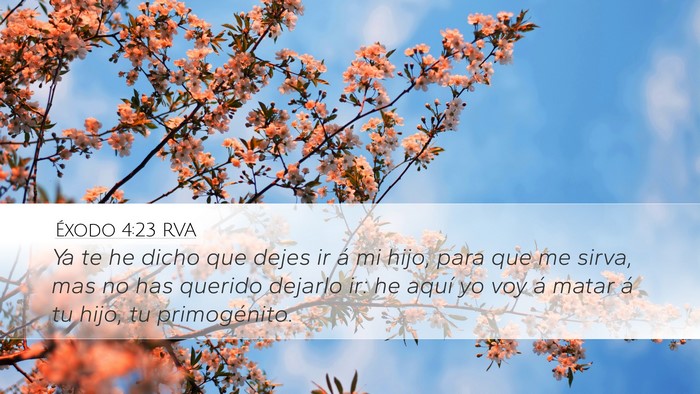 Éxodo 4:23 RVA Bible Verse Image