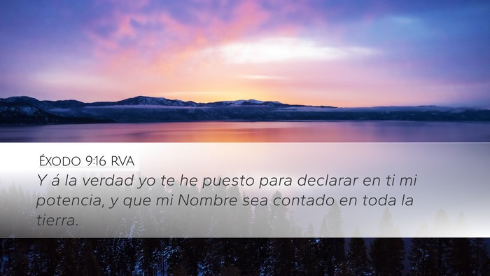 Éxodo 9:16 RVA Bible Verse Image