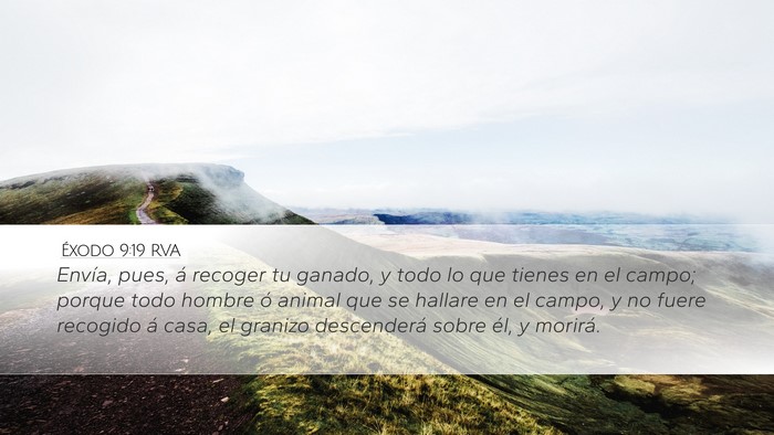Éxodo 9:19 RVA Bible Verse Image